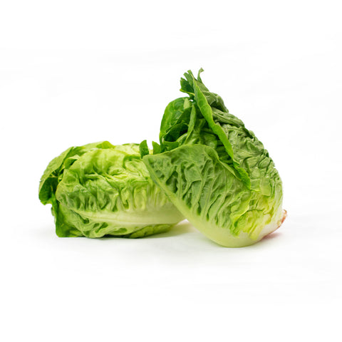 Organic Gem Lettuce